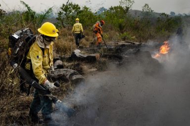 Forest Fire, PDS Nova Fronteira, Brazil