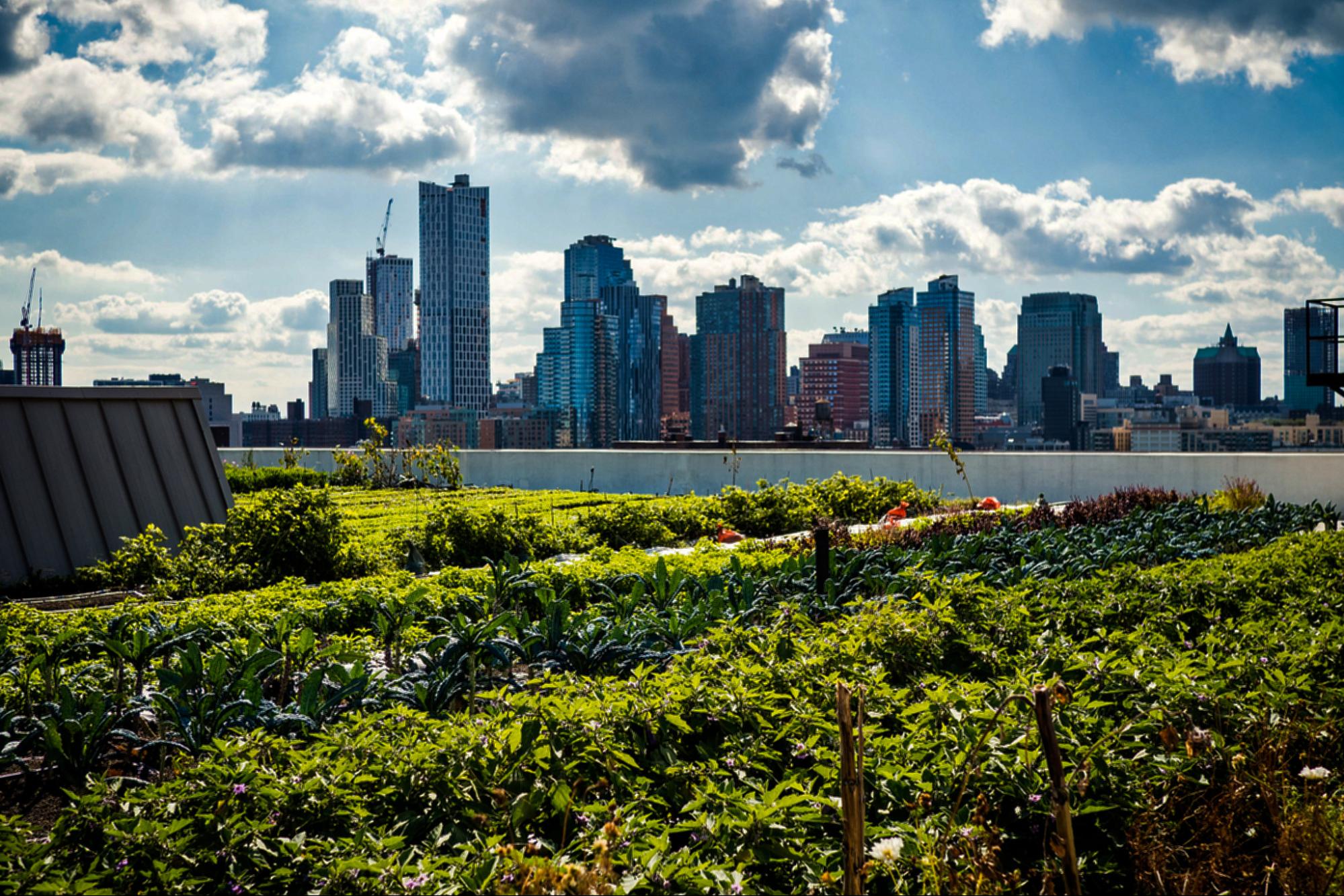 science, agriculture, rooftop solar panels, agrivoltiacs, laboratory, crops