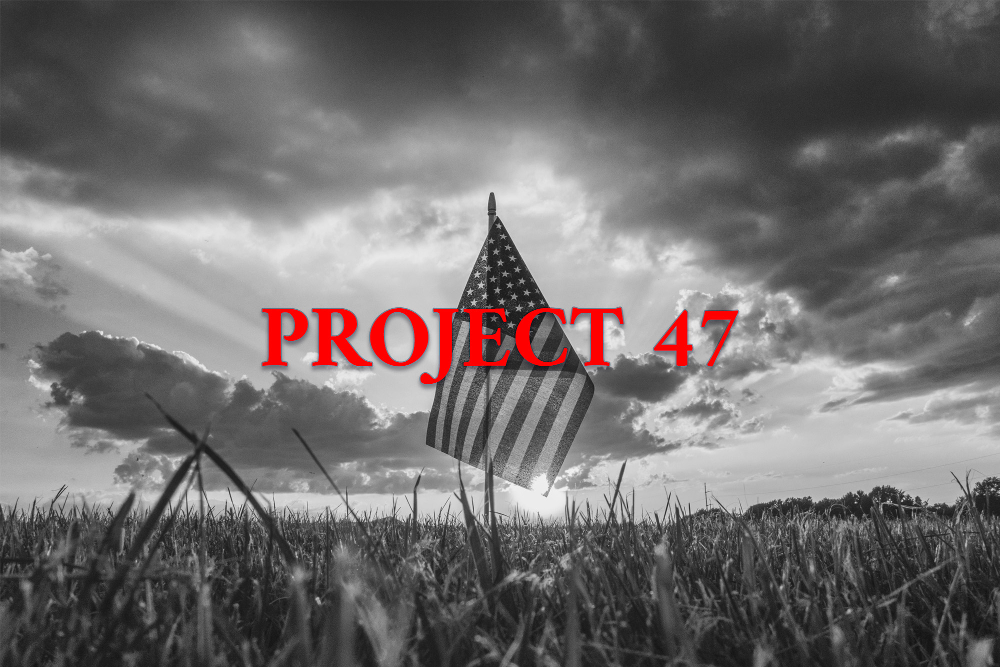 The Stakes of E2024 Donald Trump’s ‘Project 47’ WhoWhatWhy