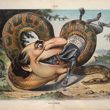 Swallowed, Populism, Cartoon