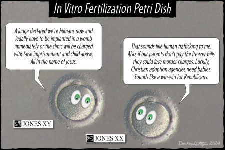 Two embryos, talking, IVF