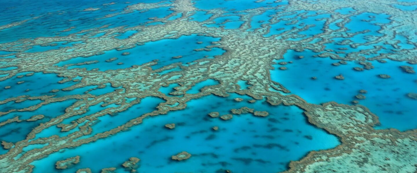 Great Barrier Reef, 2012