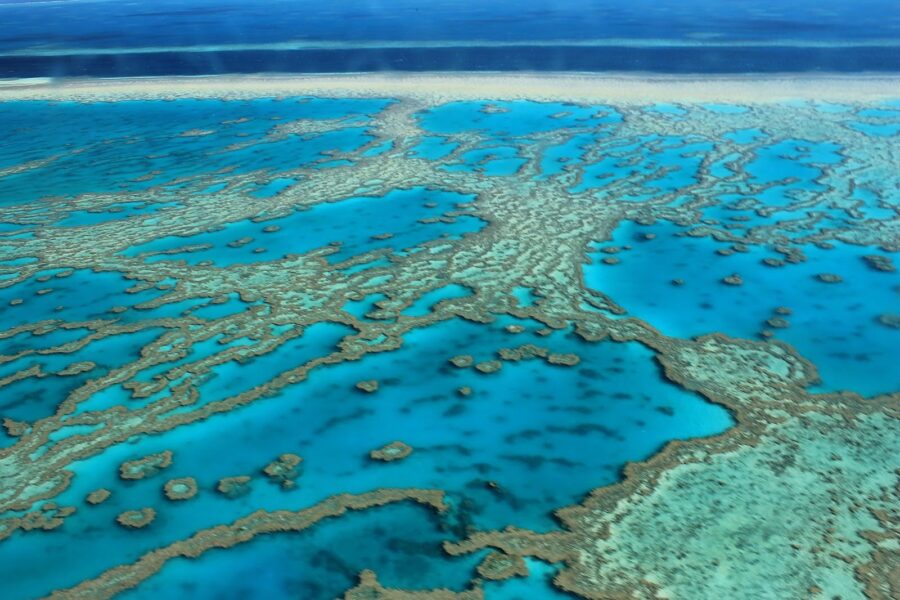 Great Barrier Reef, 2012