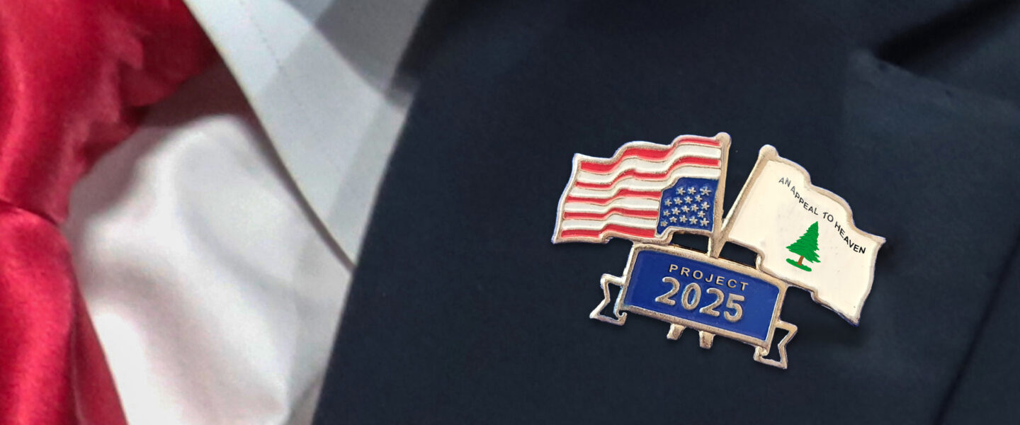 Project 2025 Flag Pin, lapel