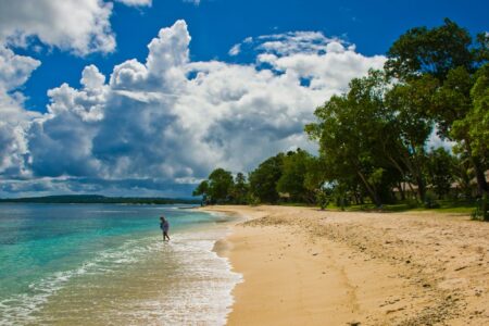 environment, pollution, Vanuatu, single-use plastics ban, impressive results