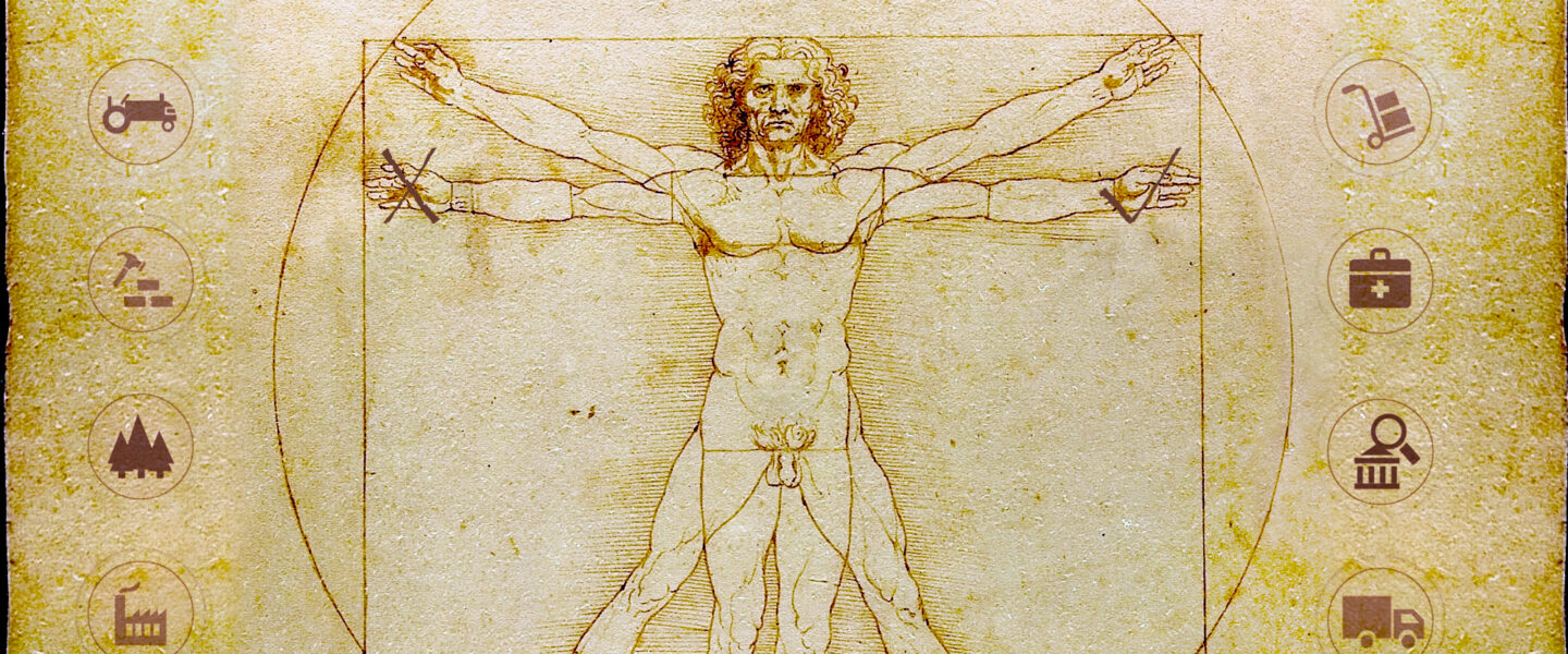 Vitruvian Man, Endocrine Disruptors