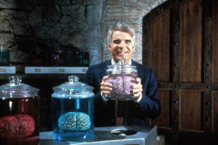 Steve Martin, Dr. Michael Hfuhruhurr, brains