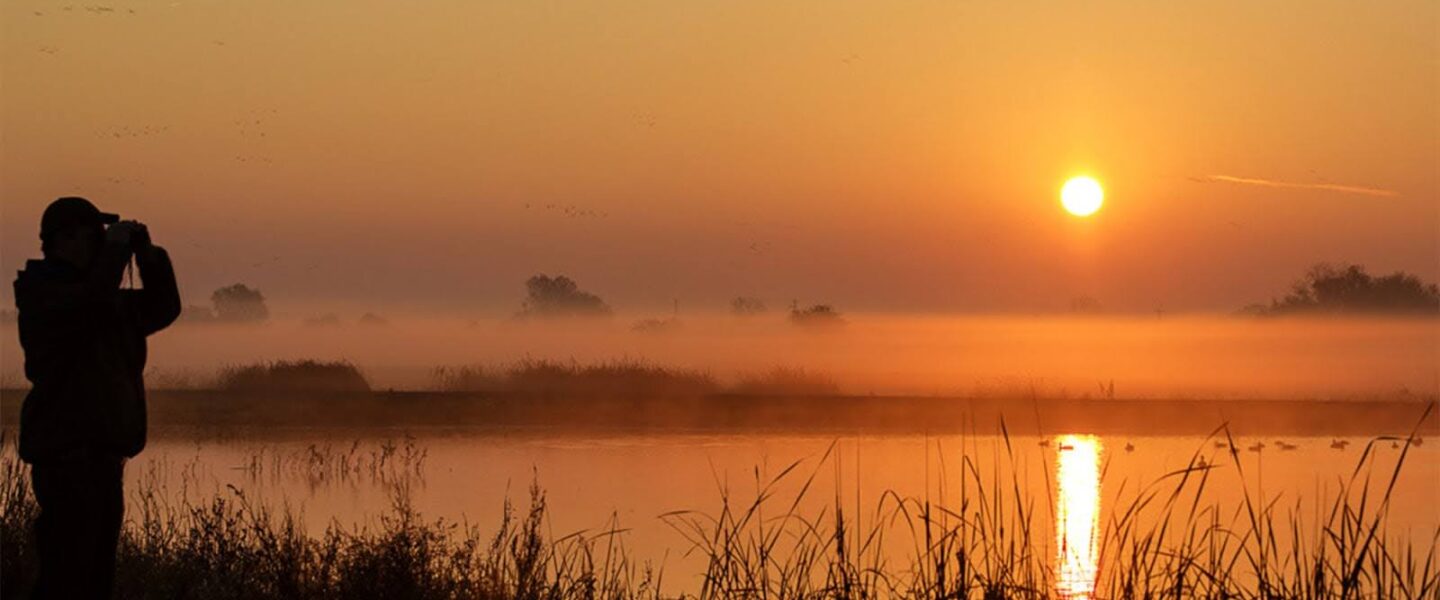 Cosumnes River, Preserve, BLM, California