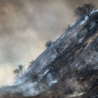 Hughes Fire, burning, California