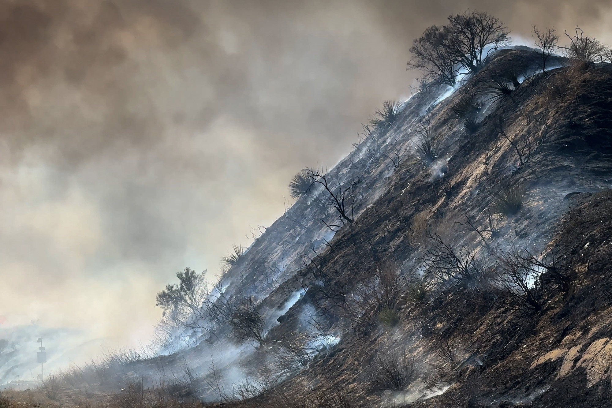 Hughes Fire, burning, California