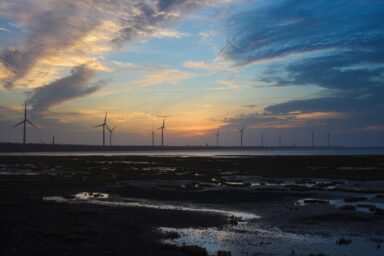 Wind turbines, Gaomei, wetland