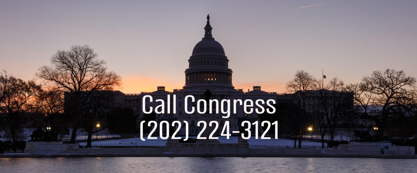 Call Congress, (202) 224-3121