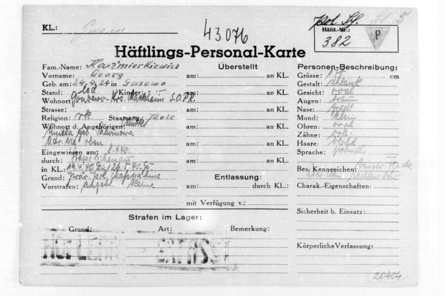  IBM, Hollerith, punch card