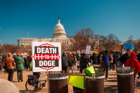 No Kings Day, Protest, Sign, Death to DOGE