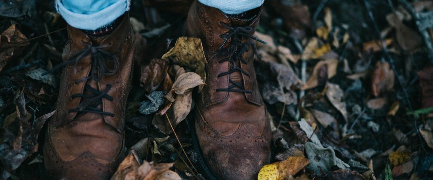 Wingtips, forest floor