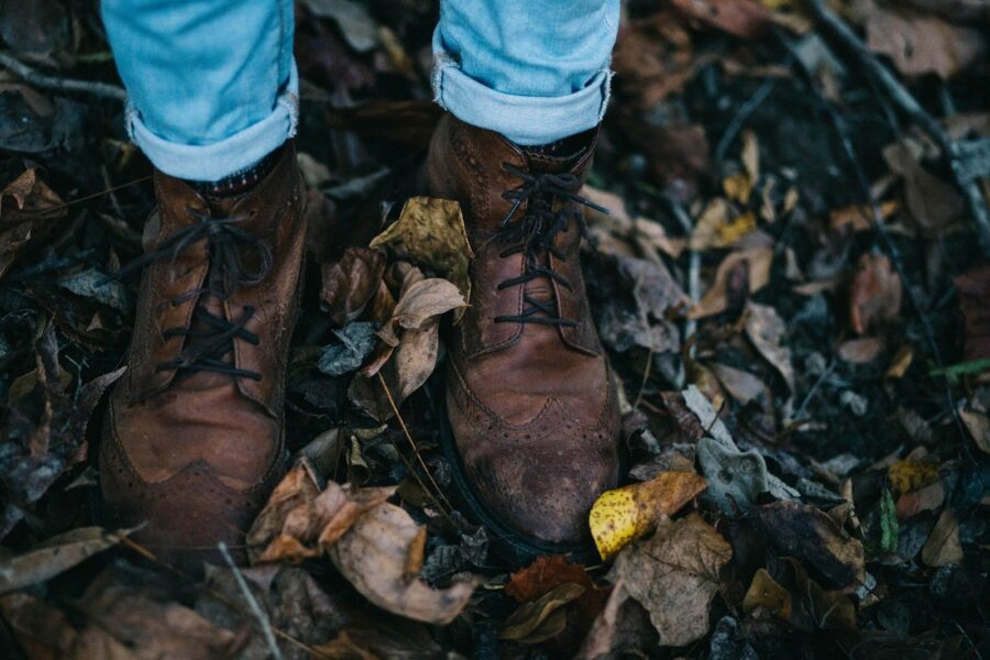 Wingtips, forest floor