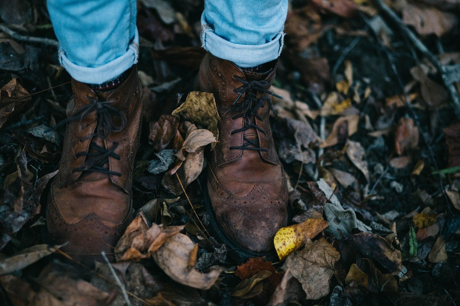 Wingtips, forest floor