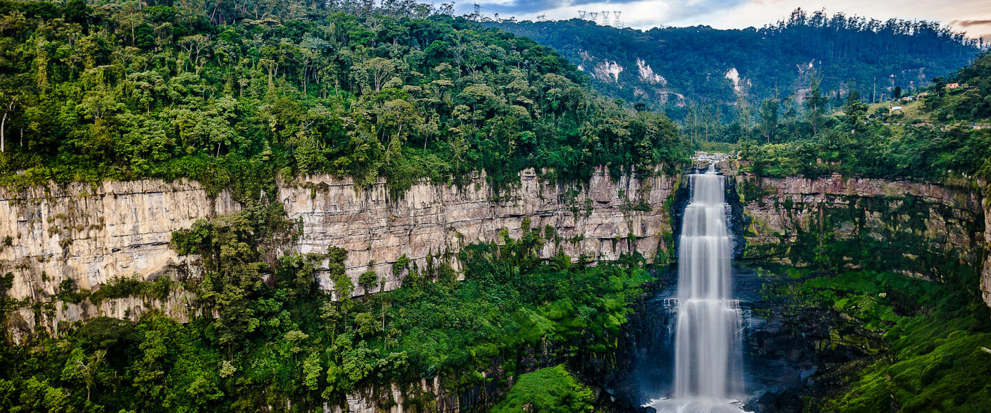 science, nature, deforestation, Colombia, record low level