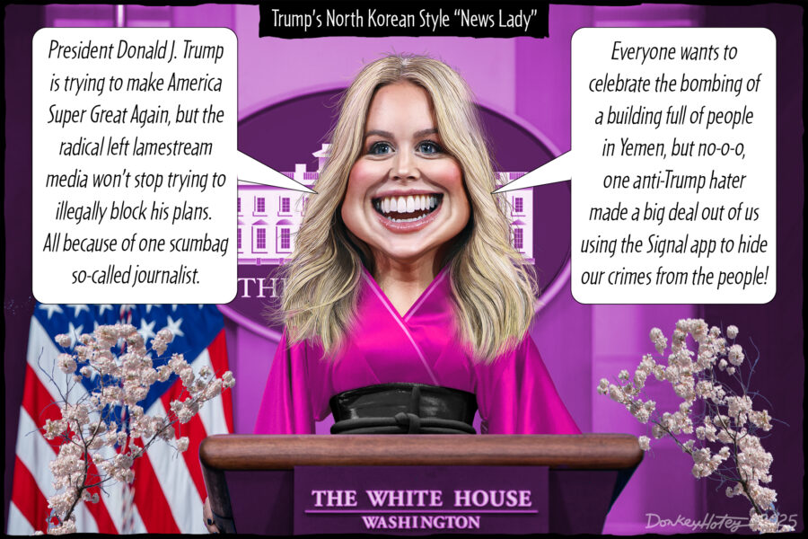 Karoline Leavitt, Donald Trump, Pink Lady of the News, Korean News Lady
