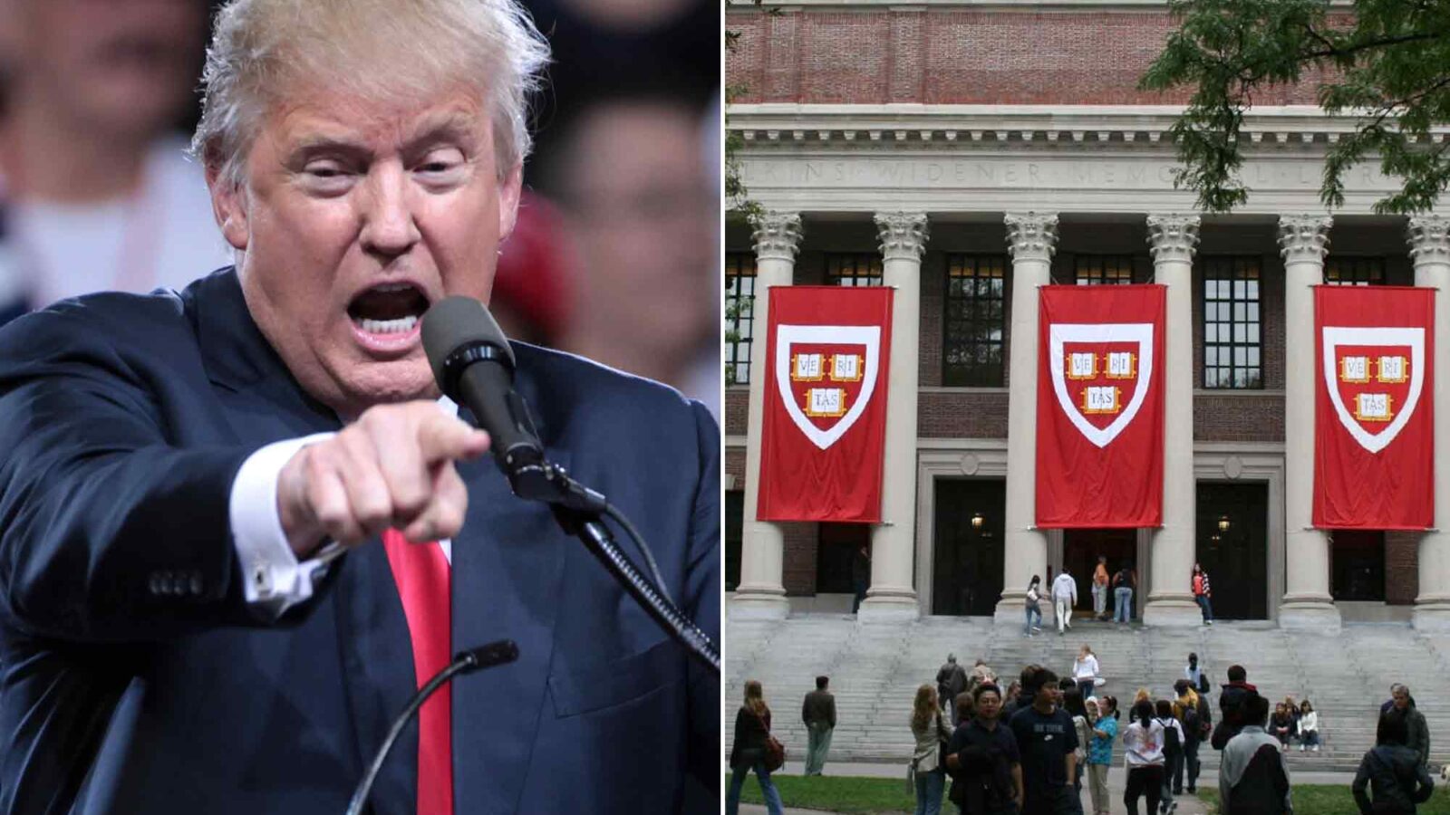 The Real Reason They're Attacking Universities