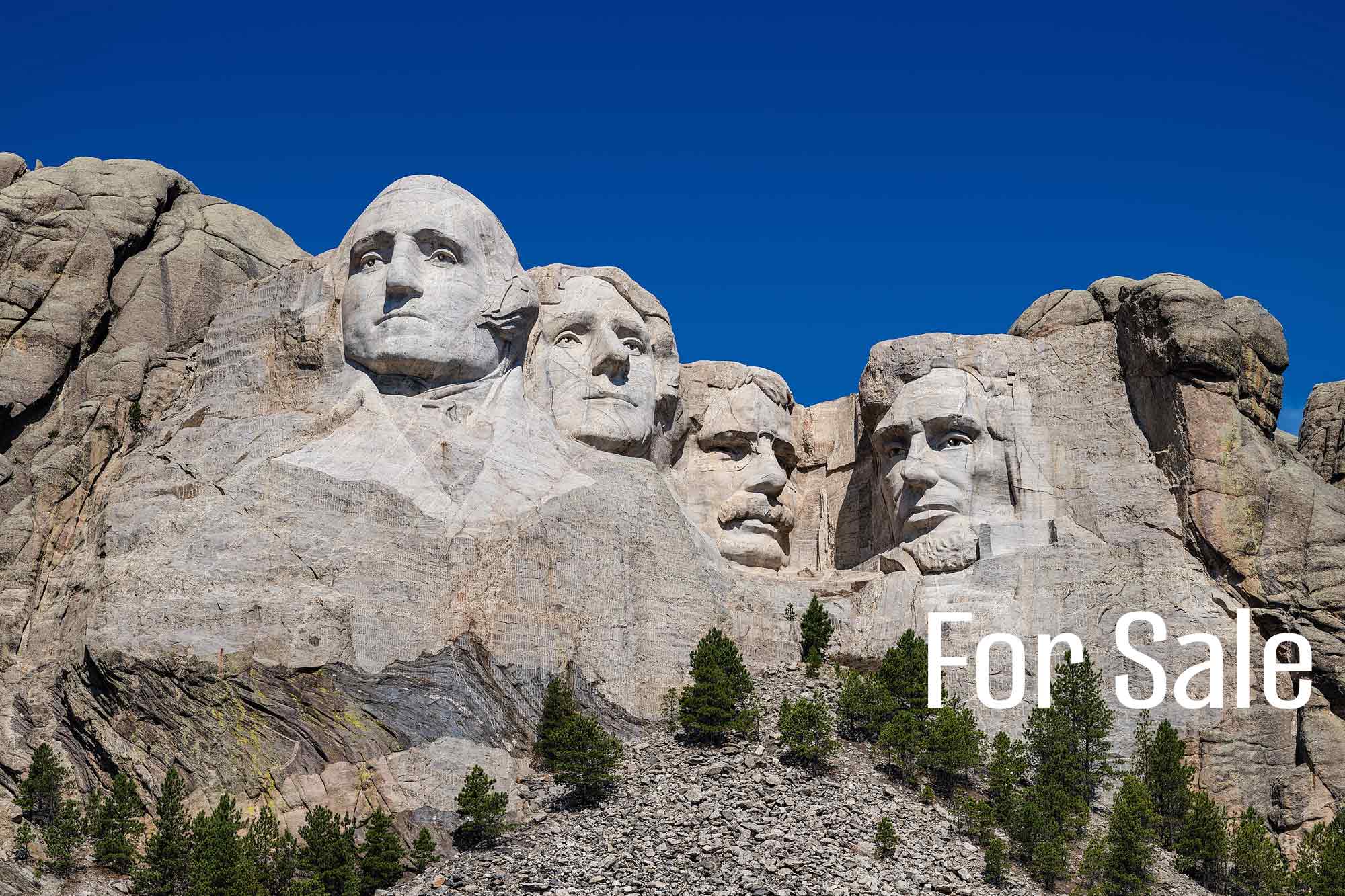 Mount Rushmore, for sale