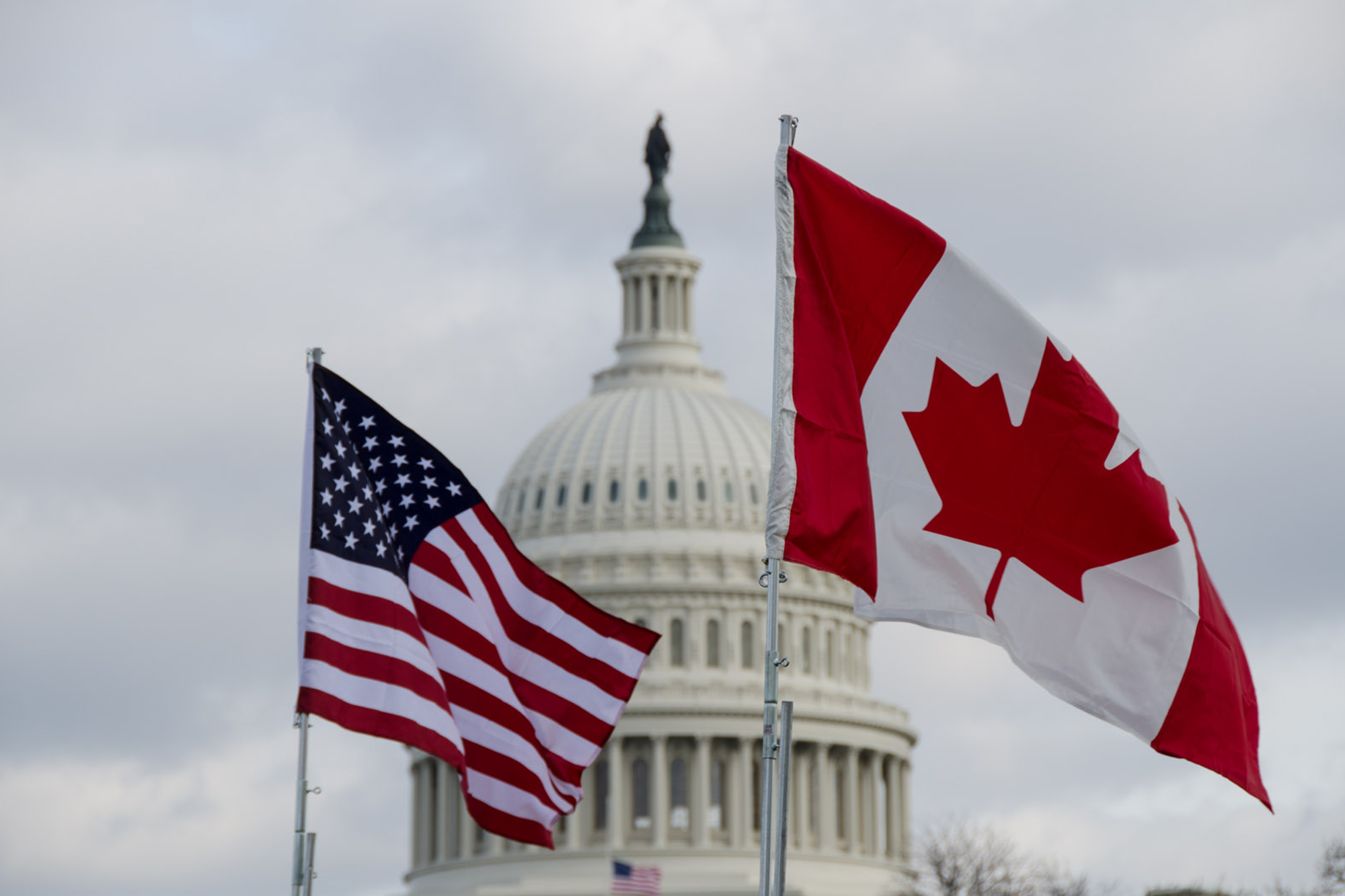 US Capitol, American, Canadian, flags