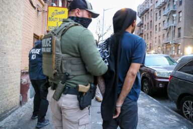 ICE Agents, arrest, alleged illegal Dominican national