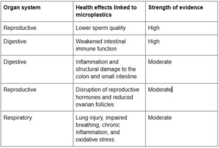 Organ System, Chart