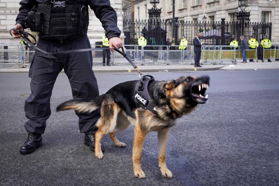 police dogs, Benjamin Netanyahu, protest