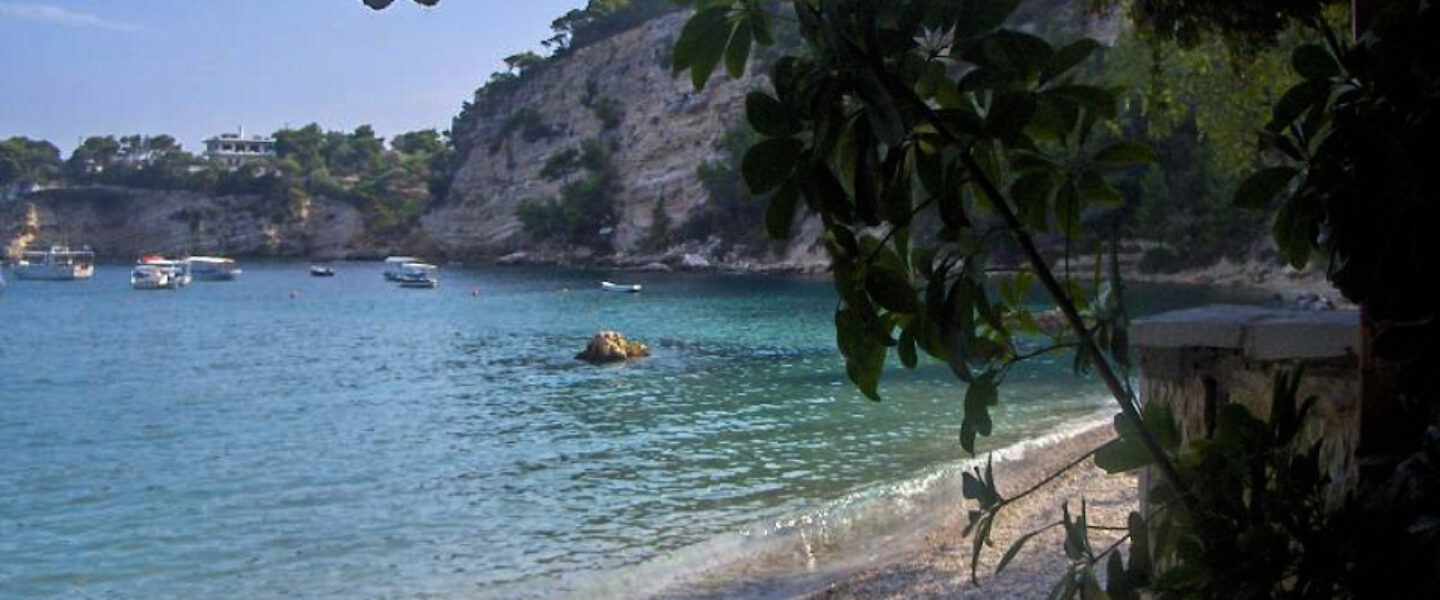 biodiversity, Greece, marine life, ocean pollution, divers' warning