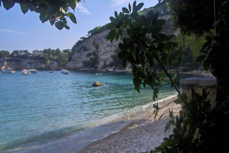 biodiversity, Greece, marine life, ocean pollution, divers' warning