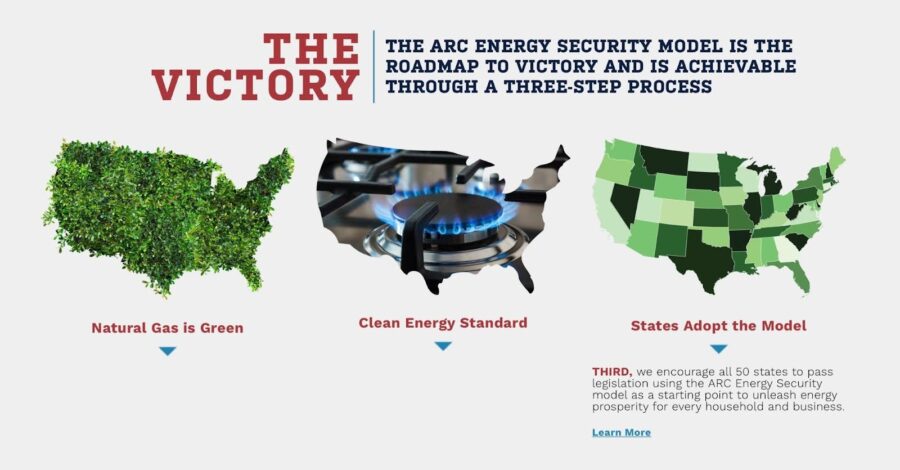 The Arc energy security model
