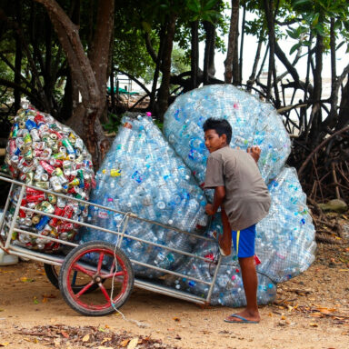 science, pollutiAon, wildlife, plastic waste, dissolvable, seawater