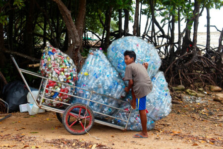 science, pollutiAon, wildlife, plastic waste, dissolvable, seawater