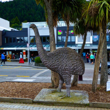 science, nature, biodiversity, extinct animals, giant moa