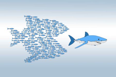 Community organizing, school of fish eating shark