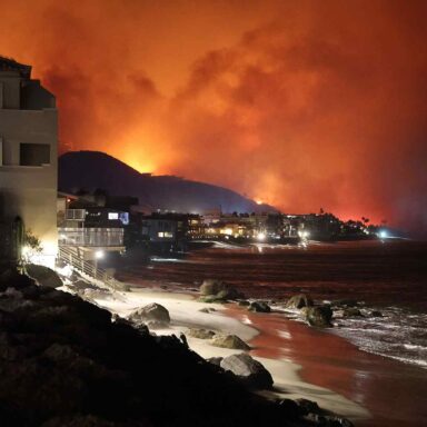 Palisades Fire, Los Angeles