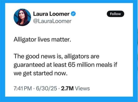 Tweet, removed, Laura Loomers