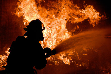 climate crisis, global warming, greenhouse gases, carbon, forests