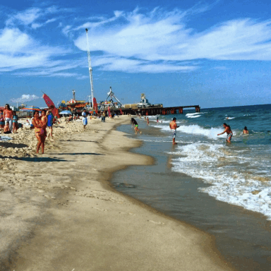 science, oceans, marine life, artificial reefs, Jersey Shore, barge, fish paradise