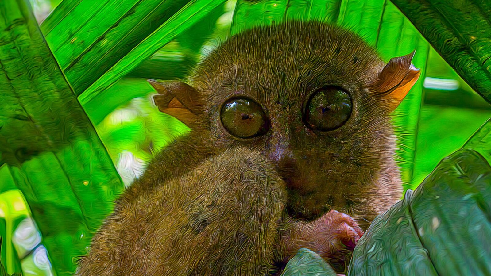 Biodiversity Loss May Drive Climate Change, New Research Shows