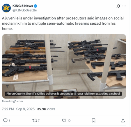 Seattle, juvenile, firearms stash