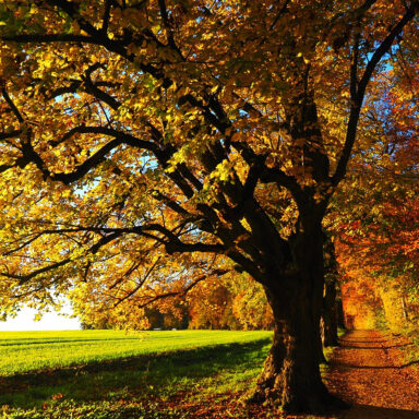 science, Earth, nature, equator, seasons, autumnal equinox