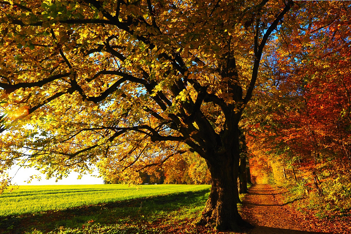 science, Earth, nature, equator, seasons, autumnal equinox