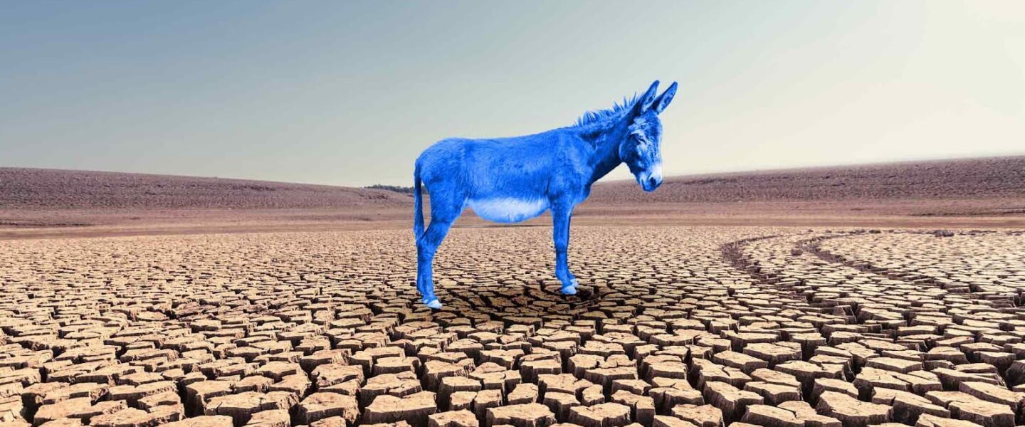 Democrats, climate change