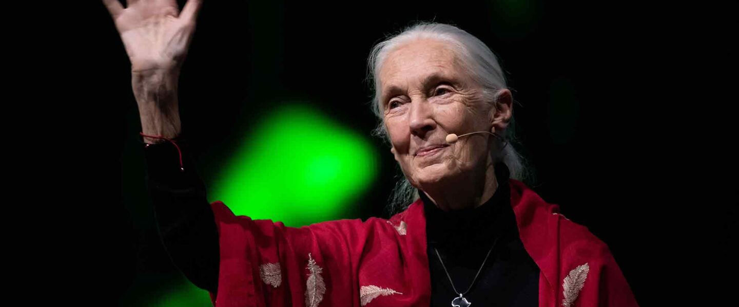 Jane Goodall, lecture, Reasons for Hope