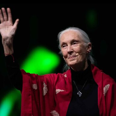 Jane Goodall, lecture, Reasons for Hope
