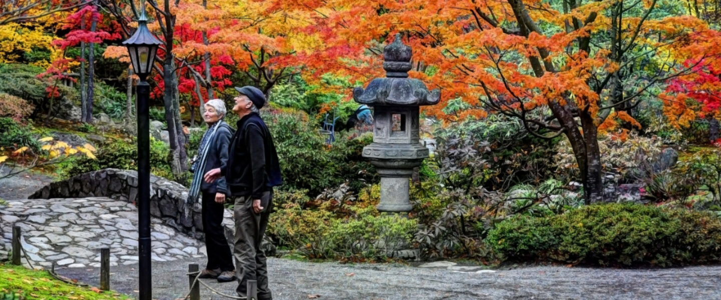 science, nature, flora, U.S. Northeast, fall foliage, drought effects