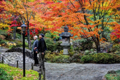 Drought Mutes Fall Foliage Season, But Pockets of Brilliant Color Remain science, nature, flora, U.S. Northeast, fall foliage, drought effects