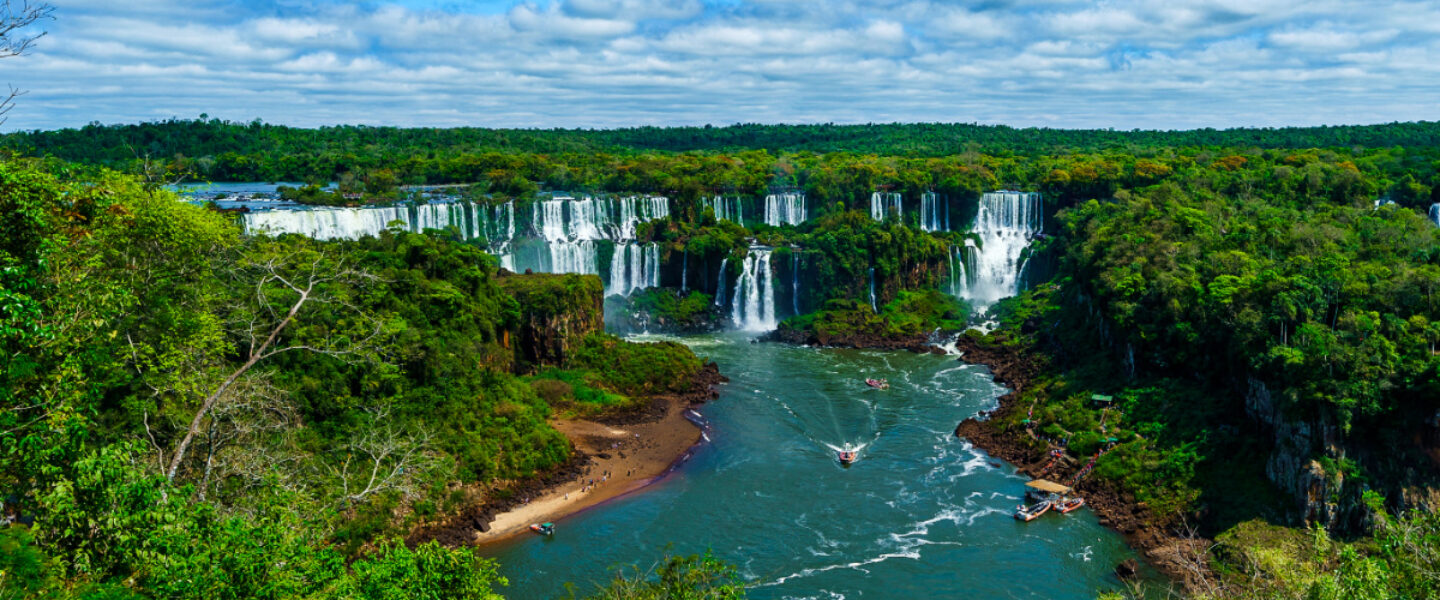climate crisis, global warming, fighting deforestation, investors, $3T fund